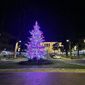 Albero di natale illuminato - Foto di Danny Cinalli