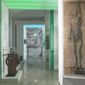 immagine decorativa 