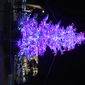 Albero di natale illuminato - Foto di Barbara Sabatini