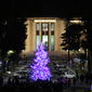 Albero di natale illuminato - Foto di Valentina Alvaro