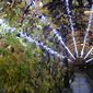 pergolato illuminato - Foto di Barbara Sabatini