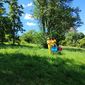 Al lavoro nell’apiario