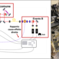 Rappresentazione schema