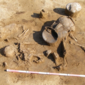 Una tomba doppia (madre e figlio) dal Bronze Age Cemetery  a Cârlomănești-Arman, Romania. Credit: Mihai Constantinescu