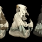 fossile 