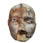 Il cranio rimodellato D112 datato al Neolitico Preceramico B (7500-6000 a.C.) e rinvenuto nella Trench I da K.M. Kenyon (Jordan Museum di Amman)