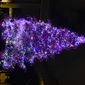 Albero di Natale illuminato