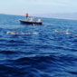 Barca in mare con nuotatori