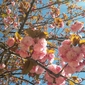 Foto di Elisabetta Congia