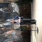 Giorgio Parisi interviene alla cerimonia in aula magna - foto di Valentina Alvaro