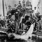 Foto storica di una cattura di squalo bianco nel 1937 presso la tonnara di Marzamemi. La foto è stata inserita nel lavoro Celona, A. (2002). Due catture di squalo bianco, Carcharodon carcharias (Linnaeus, 1758) avvenute nelle acque di Marzamemi (Sicilia) negli anni 1937 e 1964 (Two captures of a great white shark, Carcharodon carcharias (Linnaeus, 1758) in the Marzamemi waters (Sicily)). In Annales Ser. hist. nat (Vol. 12, pp. 207-210);