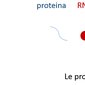 Schema concettuale