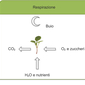 schema respirazione GREENCUBE