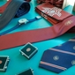 Cravatte e pin Sapienza