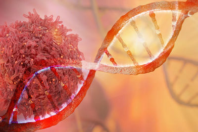 radiazioni ionizzanti DNA