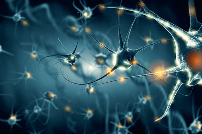 neuroni firma molecolare