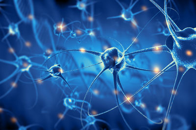 differenziamento motoneuroni RNA non codificante