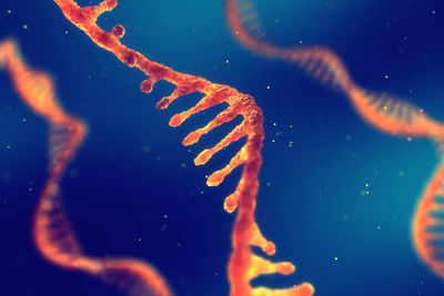 mRNA
