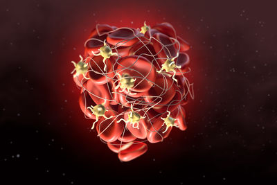Immagine decorativa web