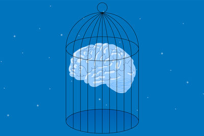 Psicologia delle regole