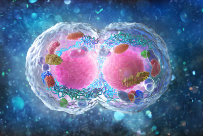 doppia vita proteine cromatina