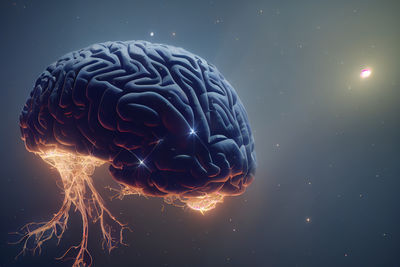 emisferi cerebrali predizioni
