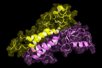 BRCA