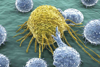 t-cell