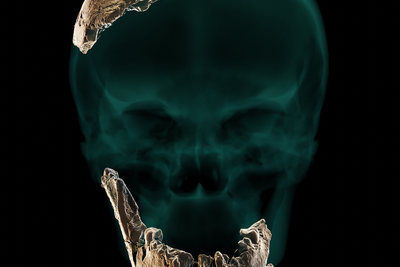 Neanderthal 