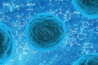 cellule staminali
